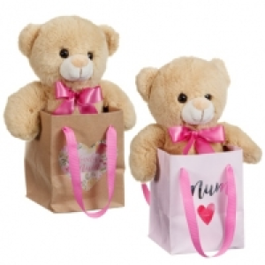 Mothers Day Bear in a Bag