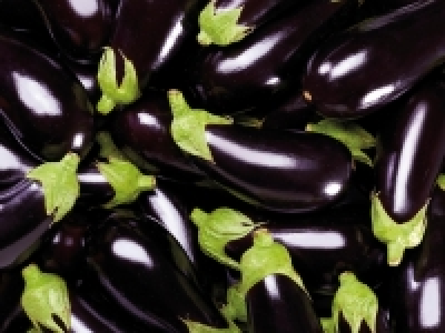 Aubergine £0.49