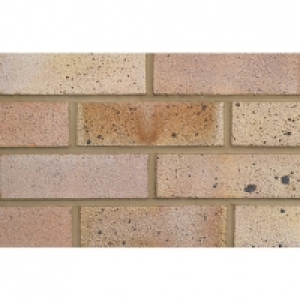 LBC Dapple Light Facing Brick 65mm £1.09