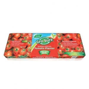 Westland Gro-Sure Tomato Planter Compost 38L £4.99