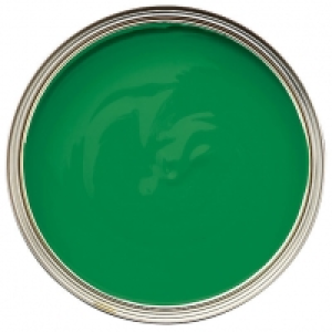 Wickes Exterior Gloss Paint Buckingham Green 750ml £16.99