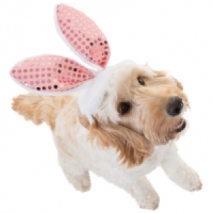 Dogs Sequin Bunny Ears