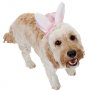 Dogs Easter Bonnet - Pink