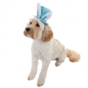 Dogs Easter Bonnet - Blue