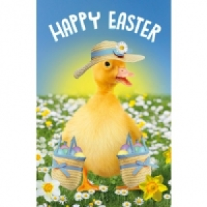Easter Card - Duckling