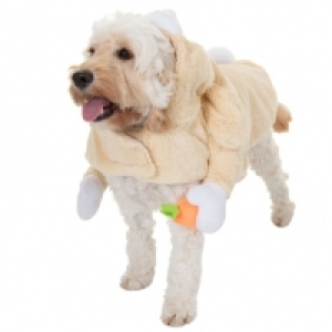 Dogs Easter Bunny Costume &pound;2.99