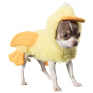 Dogs Easter Chick Costume &pound;2.99