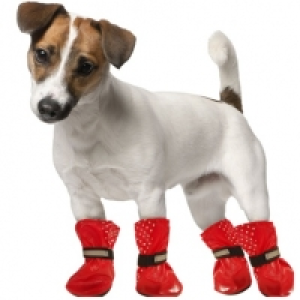 Doggy Wellies