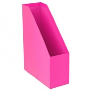 Poundland  Neon Magazine File - Pink