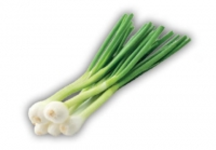 Spring Onions £0.79