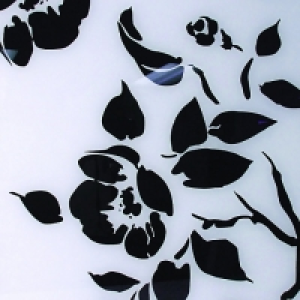 Wickes Glass Splashback Black Roses On White 600 x 750mm