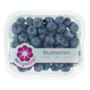 BerryWorld Blueberries £3.79
