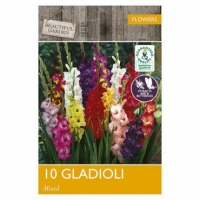 Poundland  Beautiful Garden Gladioli Mix Bulb 10 Pack