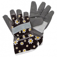 Poundland  Charlie Dimmock Ladies Heavy Duty Gloves