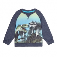 Debenhams Bluezoo Boys blue dinosaur print sweatshirt