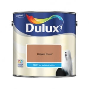 Dulux Matt Copper Blush 2.5L