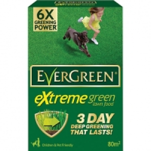 Evergreen Extreme Green Carton £1.99