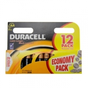 Duracell AA Alkaline Batteries 12pk