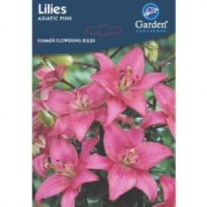 Summer Flowering Bulbs & Perennials - Lily Seeds
