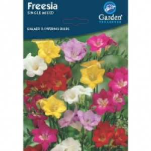 Summer Flowering Bulbs & Perennials - Freesia Seeds