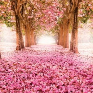 ohpopsi Yonder Wall Mural Multi X-large &pound;79.99