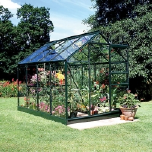 Halls Popular Greenhouse with Toughened Glass 6x8