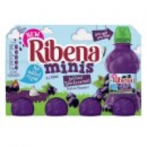 Minis No Added Sugar Blackcurrant Bottles £2.00