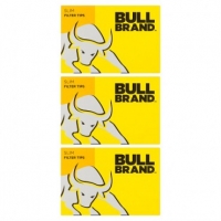 Poundland  Bull Brand Slim Filter Tips