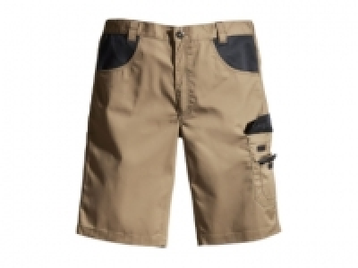 Lidl  POWERFIX Mens Work Shorts