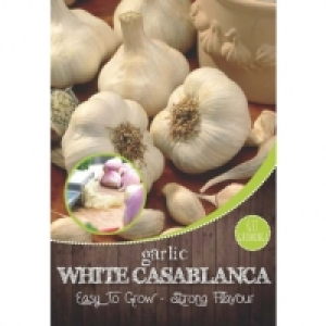 Garlic Seeds &pound;0.50