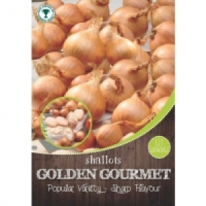 Onion Seeds &pound;0.50