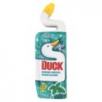 Asda Duck Toilet Cleaner Liquid 5 in 1 Limescale Dissolver Mint