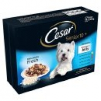 Asda Cesar Deliciously Fresh Senior Dog Food Pouches Mixed Selection in