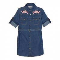 Debenhams Bluezoo Girls blue floral embroidered denim shirt dress