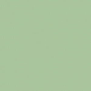 Wickes Exterior Satin Paint Muted Olive 750ml £16.99