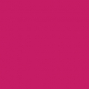 Wickes Quick Dry Gloss Paint Raspberry Kiss 750ml £13.99