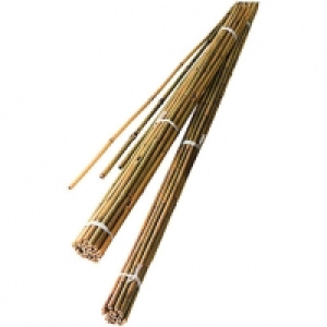 Wickes Bamboo Canes 2.4m Pack of 10 £4.99