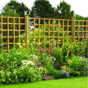 Wickes Fence Panel Trellis Square Lattice Autumn Gold 1.83 x &pound;21.99
