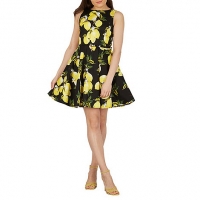 Debenhams Izabel London Black lemon print fit & flare dress