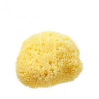 Debenhams Hydrea London Honeycomb Bath sea sponge