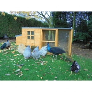 Shire Timber Pent Chicken Coop & Run Honey Brown - 7 x 3 ft &pound;297.49