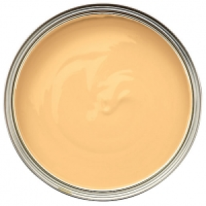Wickes Colour @ Home Vinyl Matt Emulsion Paint Tropical Burs