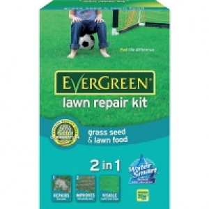 EverGreen Lawn Repair Kit £0.99