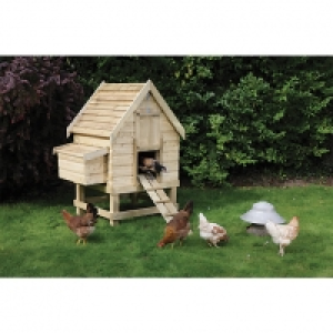 Wickes Timber Apex Small Chicken Coop - 4 x 3 ft