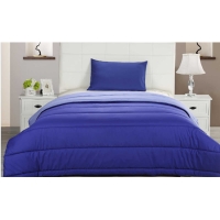 BigW  Smart Value 2-Piece Blue/Light Blue Comforter Set Single