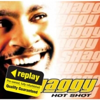 Poundland  Replay CD: Hot Shot