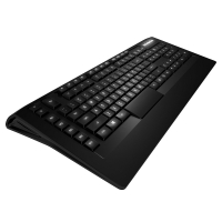 Overclockers Steelseries SteelSeries Apex [RAW] Gaming Keyboard (64123)