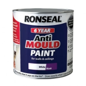 Ronseal Anti Mould Paint 2.5L