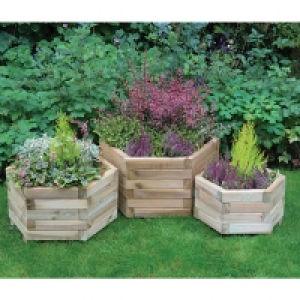 Forest Garden York Hexagonal Planter Set of 3
