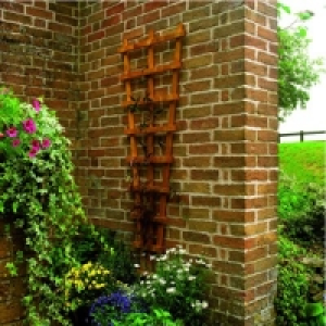Wickes Heavy Duty Fan Trellis 1830mmx600mm Autumn Gold £14.99